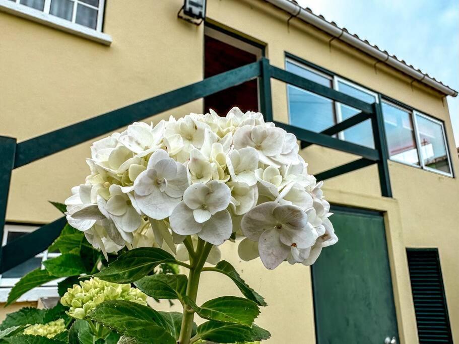 Apartment Luana House Biscoitos (Terceira)